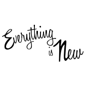 Everything_Is_New